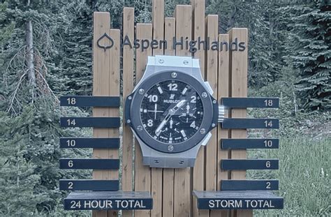aspen stake|Aspen Mountain Snow Stake .